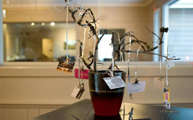 Banff Boutique Inn