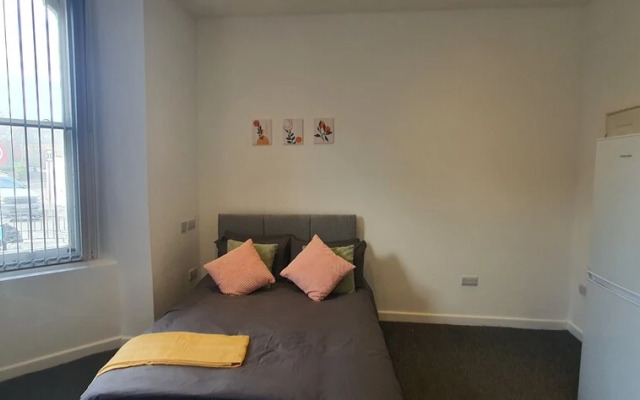 Nice Apartment in Leiceser