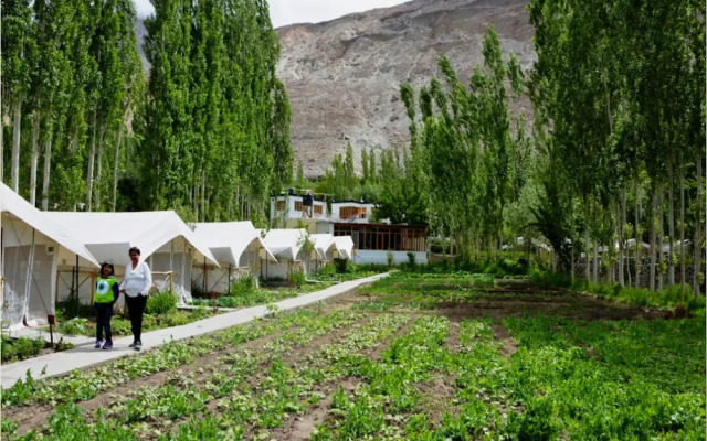 TIH Mystique Meadows Camp