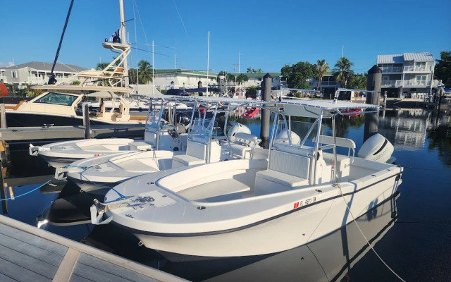 Yacht Haven Marina