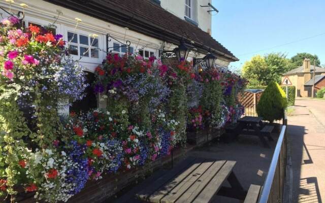 Red Lion Breachwood Green, Rm3