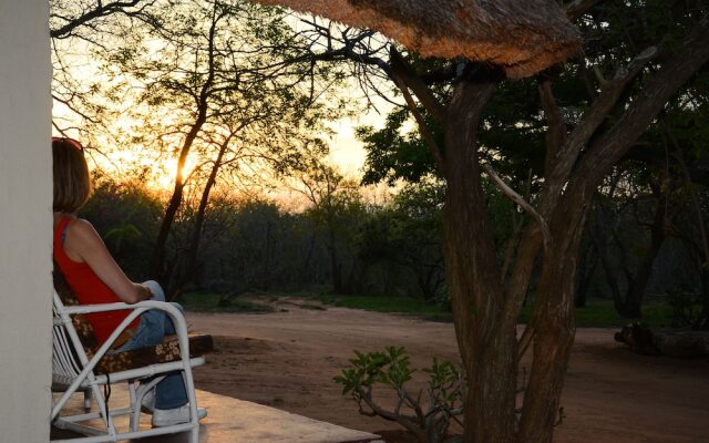 Wild Dogs Safari Lodge