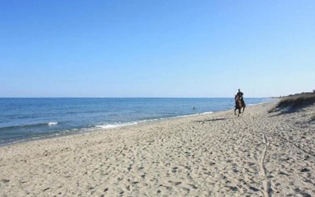 chalet de plage