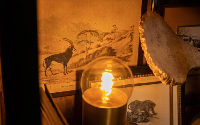 Thornybush Game Lodge