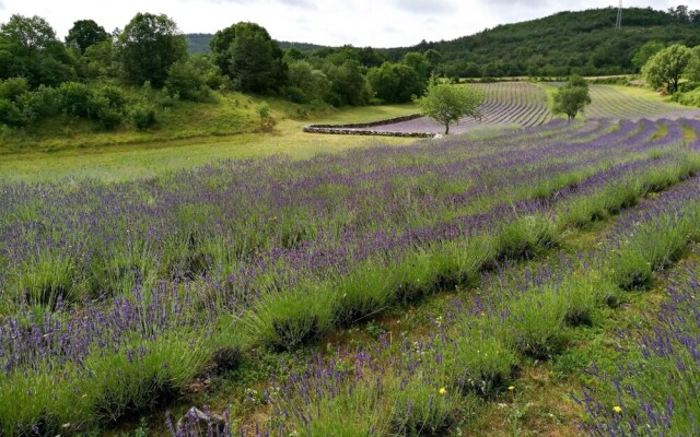 Countryside House Gal