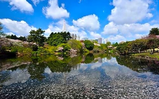 RIKI,FLAT - Vacation STAY 31269v