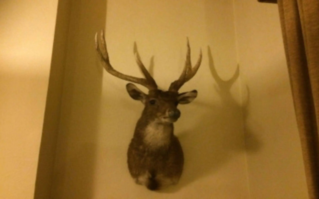 Royal Exchange Hotel