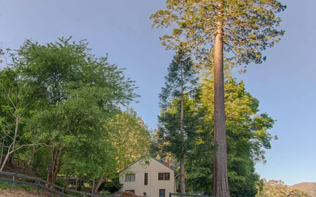 Toorongo River Sanctuary