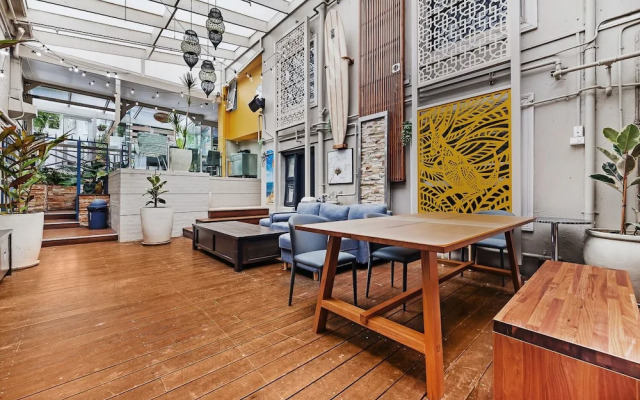 London Plane Backpackers - Hostel