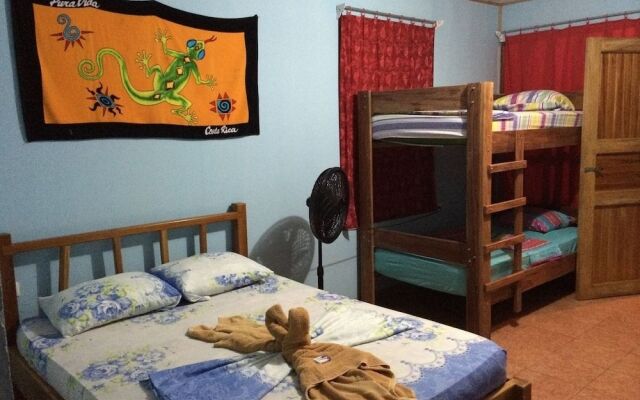 Hakuna Matata Drake Bay Hostel