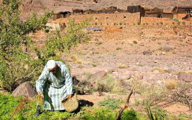 Ecolodge Oued Noujoum