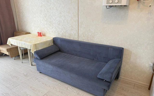 Апартаменты Pluton Aparts в СНТ Агро