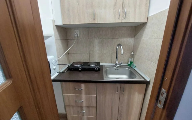 Vasile Apartment studio
