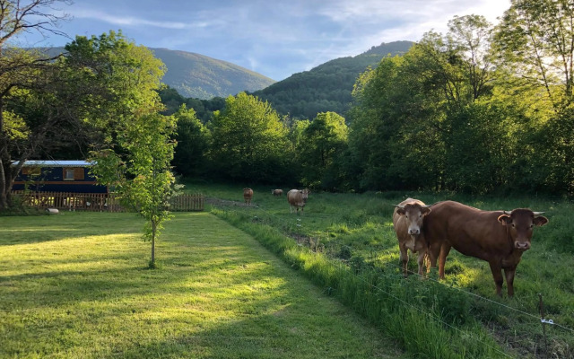 Du Côté de Lacoume