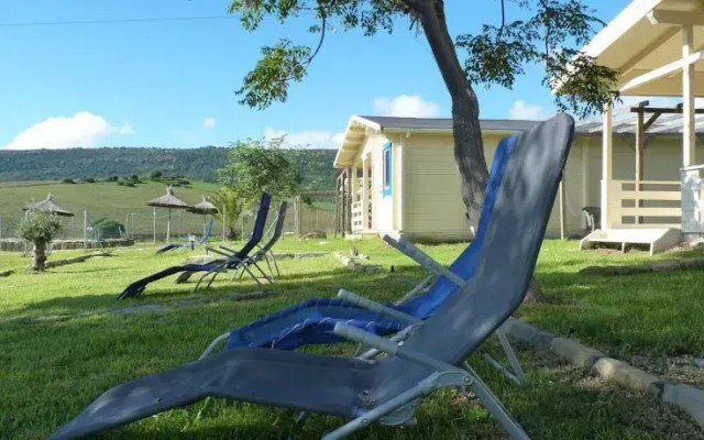 Maryvacas