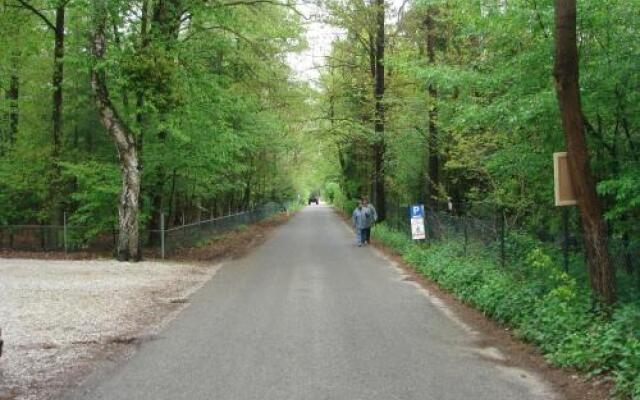 Witte Berken Natuurhotel