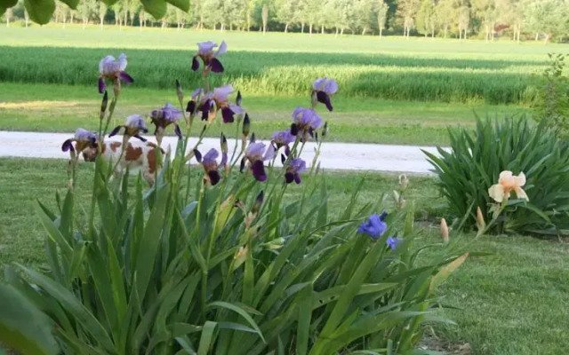 Le Domaine du Lac