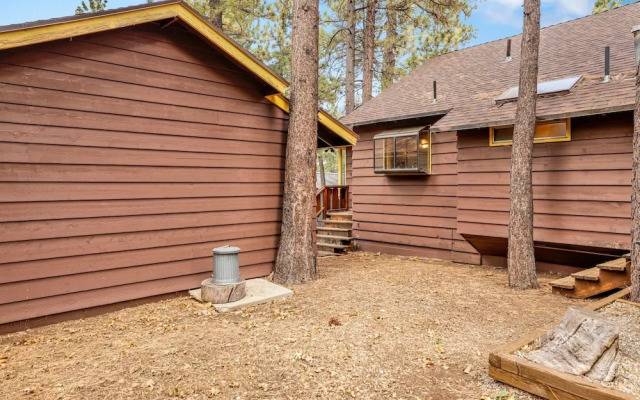 Sugar Bear Pines #2493