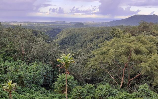 Dave Parker's Eco Lodge