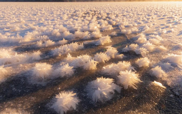 ととのうプレース