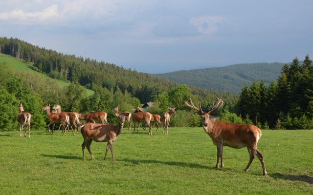 Wildwiesenhof