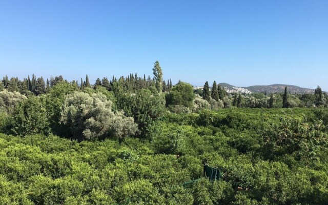 Important Group Villa BD469 4 Bedrooms