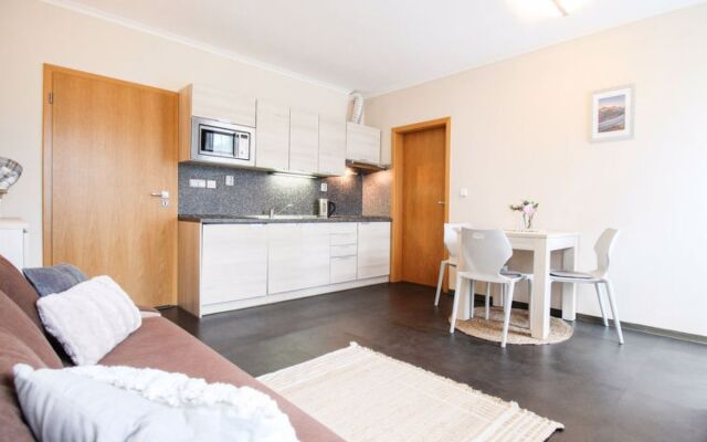 Apartmán B Harrachov