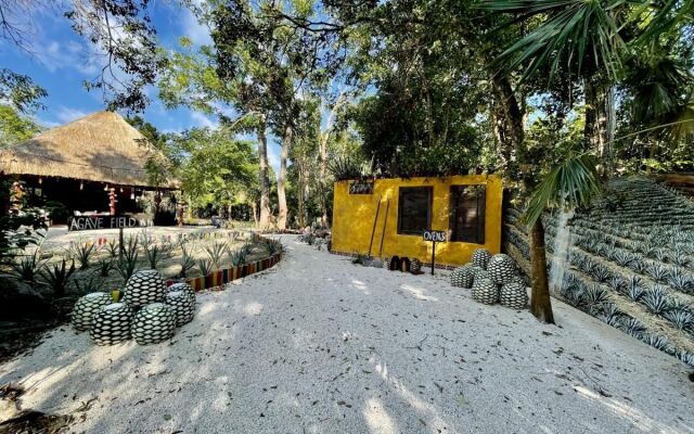 Hotel Tequila Cancun