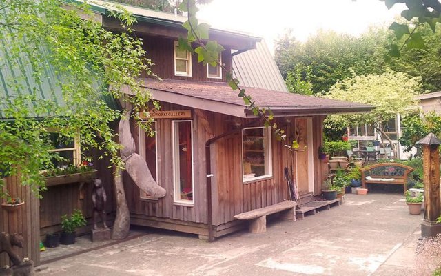 Dolphin House  Bed & Breakfast