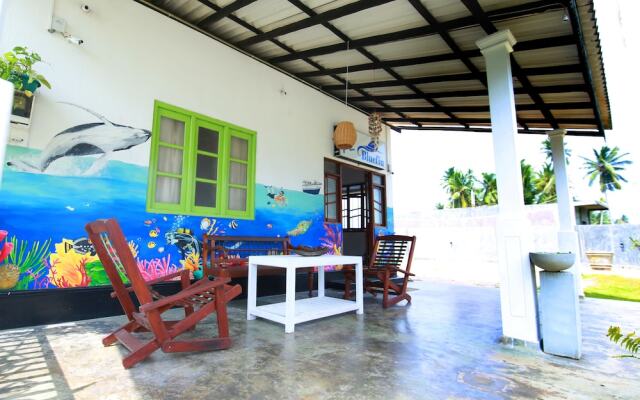 Bluefin Adventure - Hostel