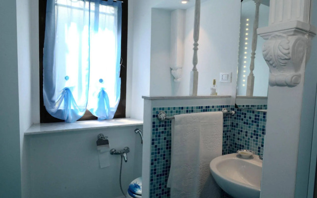 View of the vineyards