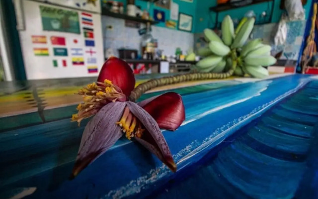 Farah Surf Hostel