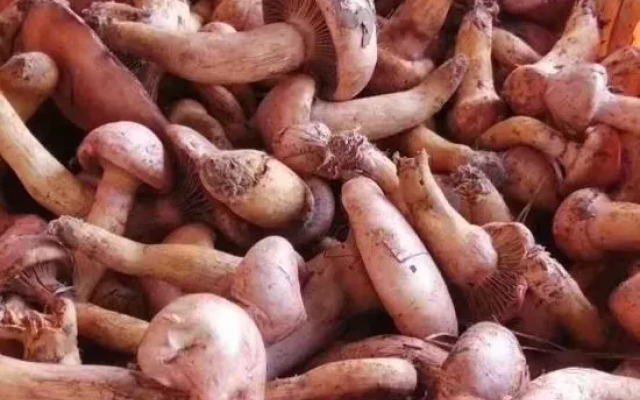 Xibaojia Boutique Guesthouse