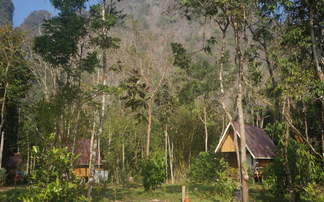 Khao Sok Jungle Resort