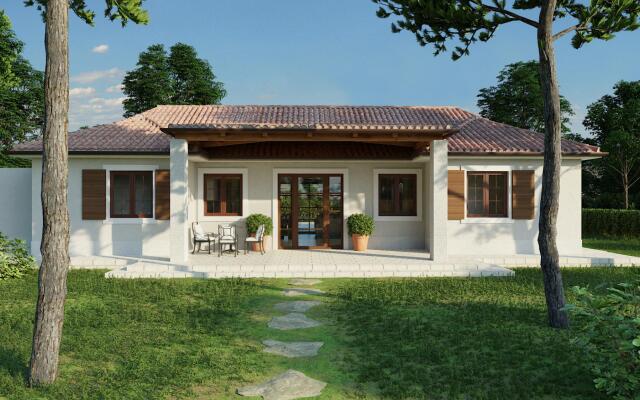 Porto Bus Beachside 5