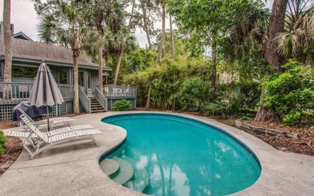 Sandhill Crane 16 by RedAwning