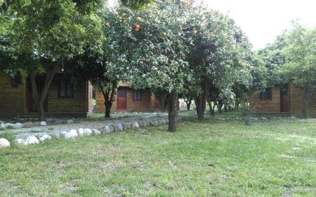 Yesil Bahce Bungalow - Ahsap Evler