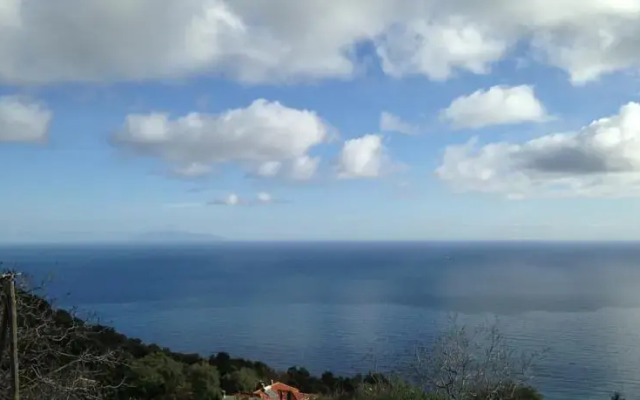 Villajo