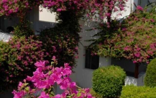 Mexicana Sharm Resort