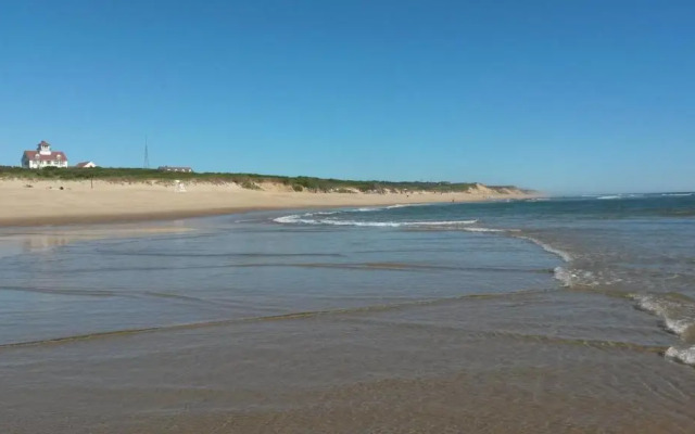 Viking Shores Motor Inn