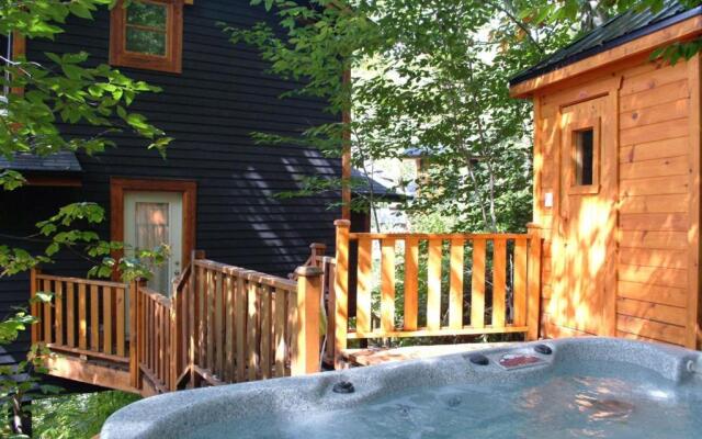 Chalets Alpins - 15 Chemin Alpin