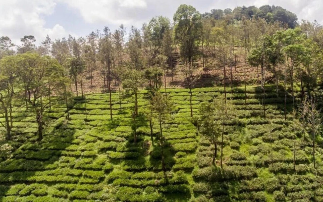 JK Residency Kelakam