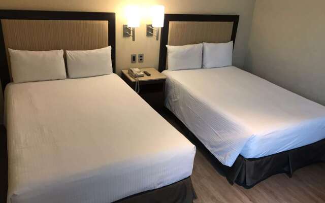 Exe Alameda Reforma Hotel