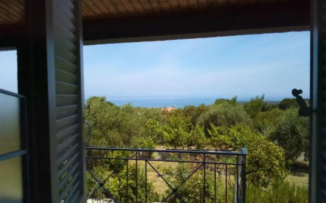 Panorama Rooms