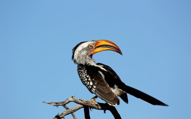 Waterberg Wilderness