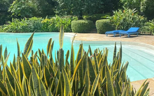 Mangrove Lodge
