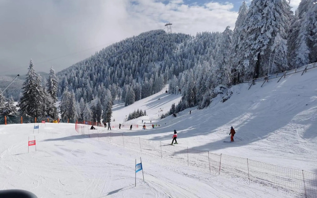 Hotel Piatra Mare