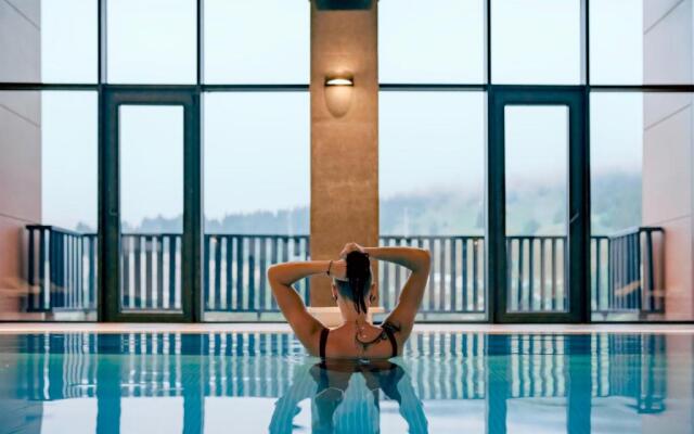 Ambassadori  Goderdzi