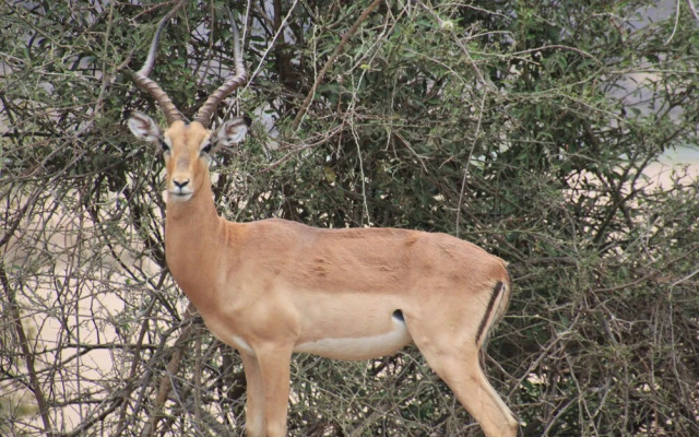 Thula Private Lodge