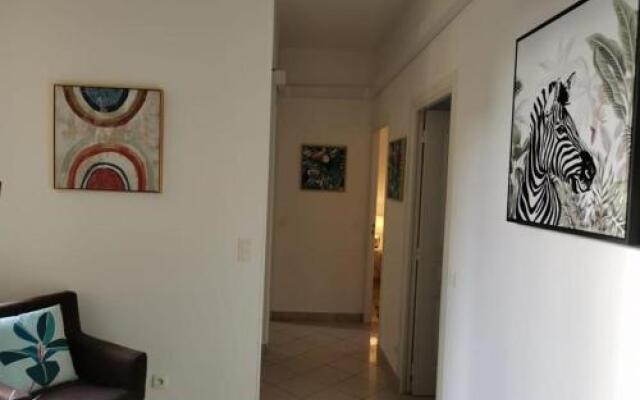 Appartements Centre Ville Massena avec vue